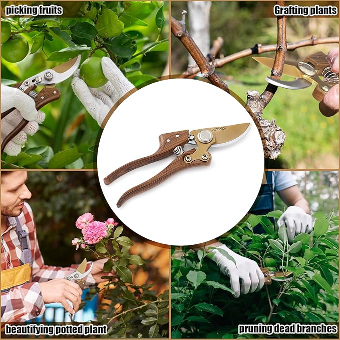 Lothee Japanese Gardening Scissors Made in Japan, Carbon Steel Flower Pruning Shears Heavy-duty Gardening Scissors, for Pruning Plants