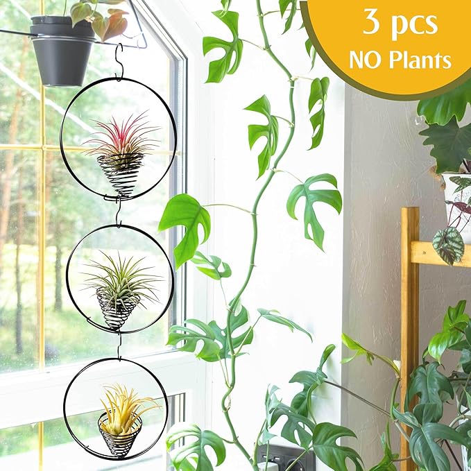 5.5" Air Plant Hangers for Ceiling & Windows, Airflow Hanging Air Plant Holder, Tillandsia Succulent Display Holders for Plant Wall - 3 pcs