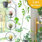 5.5" Air Plant Hangers for Ceiling & Windows, Airflow Hanging Air Plant Holder, Tillandsia Succulent Display Holders for Plant Wall - 3 pcs