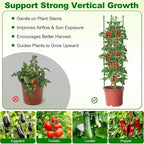 Fabulas Tomato Cage, 59 Inch Adjustable Tomato Plant Support Cages for Garden and Pots, Steel Core Plastic Coated Trellis for Raised Bed Climbing Plants Cucumber Beans Vegetable Flower Fruit, 3 Pack