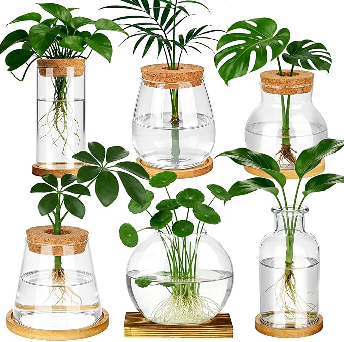 6 Pcs Plants Propagation Stations Glass Planter Terrariums with Wooden Lid and Bamboo Stand Desktop Propagation Vases Jars for Plant Growing Hydroponic Home Office Tabletop Garden Decoration