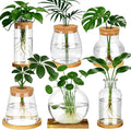 6 Pcs Plants Propagation Stations Glass Planter Terrariums with Wooden Lid and Bamboo Stand Desktop Propagation Vases Jars for Plant Growing Hydroponic Home Office Tabletop Garden Decoration