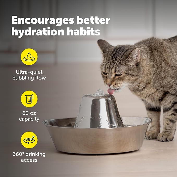 PetSafe Seaside Stainless Cat & Dog Fountain - Carbon and Foam Filters & 1 Pump Included, Tower Creates Soothing Flow for Pets, Scratch-and Rust-Resistant Material Inhibits Pet Acne, 60 Oz