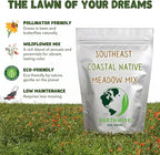 Earthwise Southeast Native Meadowscaping Seed Mix – Pollinator Friendly, Organic, Supports Wildlife, Multi-Season Color, Low Maintenance, Chemical-Free, Pet Safe – Covers Up to 500 sq ft, 1/4 lb