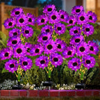 Solar Sunflower Lights Outdoor Garden Decor, 6 Pack Solar Purple Flowers Lights with 18 Sunflowers, Waterproof Fall Decor Stake Decorative Light Auto ON/Off for Garden Yard Patio, Gift for Women