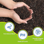 Omitgter Succulent and Cactus Soil Potting Mix 2qt-Premium Breathable & Fast Draining for Healthy Plants