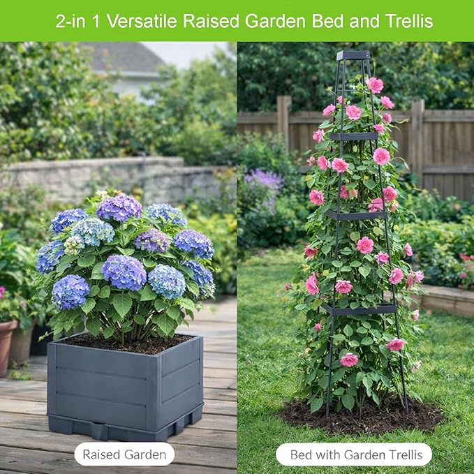 2 Pack Raised Garden Bed Tomato Planter Box with Trellis, 57" Self-Watering Tomato Cage Planters Box for Climbing Plants Vegetable Vine Flowers,Patio Garden Balcony Outdoor & Indoor (2 Pack)