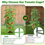 Fabulas Tomato Cage, 59 Inch Adjustable Tomato Plant Support Cages for Garden and Pots, Steel Core Plastic Coated Trellis for Raised Bed Climbing Plants Cucumber Beans Vegetable Flower Fruit, 3 Pack