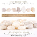 5 lbs Approx. 25 White River Rocks Stones for Plants Pebbles for Indoor Plants | Aquarium Fish Tank Rocks | Polished Decorative Rocks for Vases (2-3 Inches)