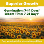 HOME GROWN Sunflower Seeds for Planting | 8 Varieties |1000+ Non-GMO Sun Flower Seeds Packets to Plant: Grow Dwarf Sunflowers, Mexican Sunflowers, Wild, Lemon Queen,Autumn Beauty,Sunspot, Velvet Queen