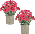 2 Pack Small Fake Plants Potted Artificial Plants Artificial Flowers Potted Faux Flower Daisy with Eucalyptus Leaves for Home Decor Office Room Farmhouse Indoor Table Bathroom Decor（Magenta）