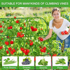 Large Cucumber Trellis for Raised Bed, U-Shape Garden Trellis for Climbing Plants Outdoor,Adjustable Metal Arch Vegetables Trellis,Plant Support Garden Stakes for Vine (Green,49.2x49.2x23.6)