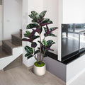 4.5FT Artificial Rubber Tree - 54.5 Inch Tall Fake Plant Indoor Faux Tree with Bendable Branches & Realistic Leaves, Faux Floor Plant for Home Office Decor in White Pot