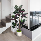 4.5FT Artificial Rubber Tree - 54.5 Inch Tall Fake Plant Indoor Faux Tree with Bendable Branches & Realistic Leaves, Faux Floor Plant for Home Office Decor in White Pot