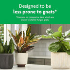 Miracle-Gro Tropical Potting Mix, For Container Plants, Use with Snake Plants, Spider Plants, Pothos, Monstera, 6 qt., 3-Pack