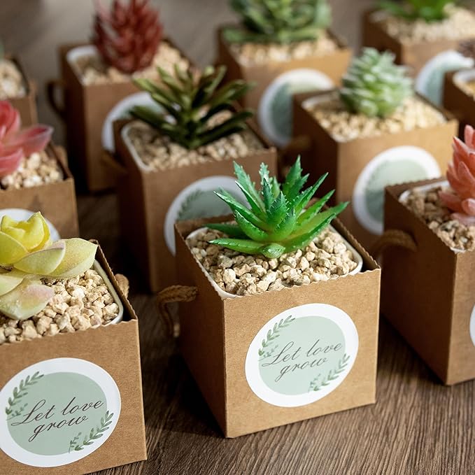 Temlum 2.5 Inch Succulent Wrap Bags (Fits 2.5″ Pots) with Thank You & Let Love Grow Stickers, Small Gift Box for Wedding, Baby Shower, Succulent Party Favors for Guests (Brown 100pcs)