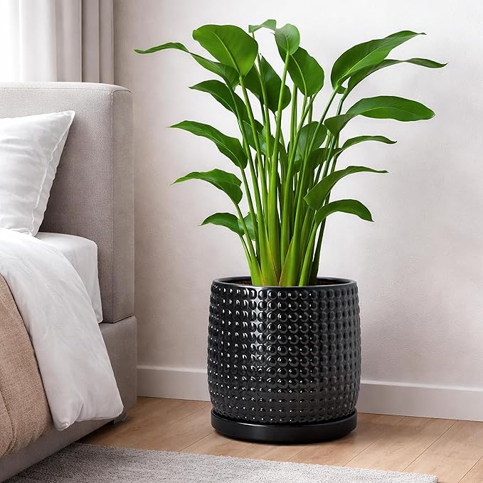 D'vine Dev 10 Inch Ceramic Beaded Stoneware Planter Pot - Flower Pot with Drainage Holes and Saucers for Indoor Succulent Plants or Flowers, Glossy Black, 27-C-P-2