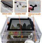 Reptile Terrarium, Jumping Spider Enclosure Starter Kit, Leopard Gecko Habitat Container, 8"x8"x7"Reptile Tank for Tarantula, Hermit Crab, Insect, Fish, Frog, Small Bearded Dragon, Lizard