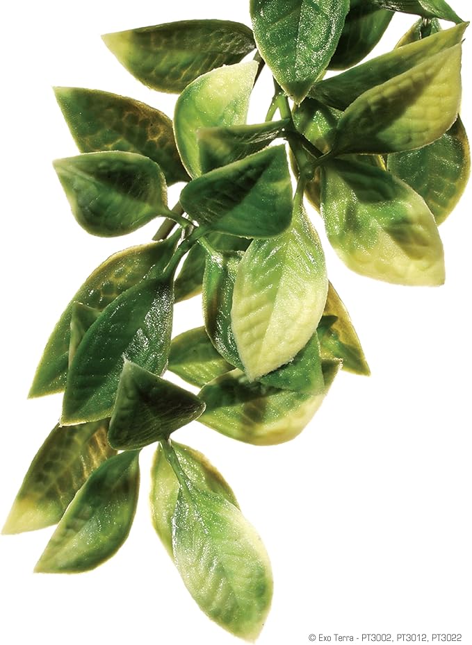 Exo Terra Plastic Terrarium Plant, Medium, Mandarin (Pack of 3)