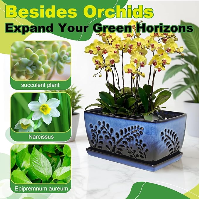 Ceramic Orchid Pot, 10 Inch Orchid Pots with Holes, Premium Thickened Handmade Glazed Pot for Orchidaceae Plants, Indoor Outdoor Decorative Flower Pots for Easy Repotting（Gradient Blue）