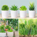 QUOZUO 22pcs Artificial Succulents Realistic Mini Succulent Plants, Green Succulents Small Plants for DIY Crafting Garden Home Arrangement Office Decorations (Unpotted)