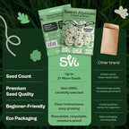 SVI 3000 Carpet of Snow Sweet Alyssum Seeds (Lobularia maritima) – White Sweet Alyssum Seed Packets Bulk – Ground Cover Seed Pack, Flower Seeds for Outside, Containers, Flower Beds