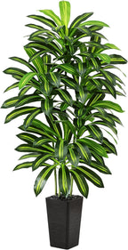 Artificial Dracaena Tree - 6FT Tall Fake Plants with Black Square Planter - Artificial Plants Indoor Floor Plant in Pot - Large Tropical Fake Yucca Potted Tree for Home Office Living Room Decor