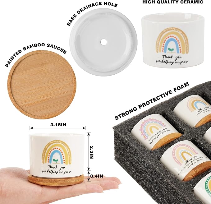 Kolewo4ever 9 Pieces Teacher Appreciation Gifts Ceramic Succulent Plant Pot Small Flower Planter Rainbow Funny Cute Succulent Accessories for Best Teacher Gift Plant Not Included