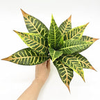 PASYOU Artificial Aglaonema Plant, Fake Codiaeum Variegatum Plants 2 Pack, Faux Magnolia Plastic Evergreen Shrubs, UV Resistant Greenery, Indoor Outdoor Decor Home Garden Decorations - Striped Leaves