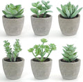 DomeStar Set of 6 Artificial Succulent Plants Potted, Assorted Decorative Faux Succulent Potted Fake Cactus Cacti Plants with Pots