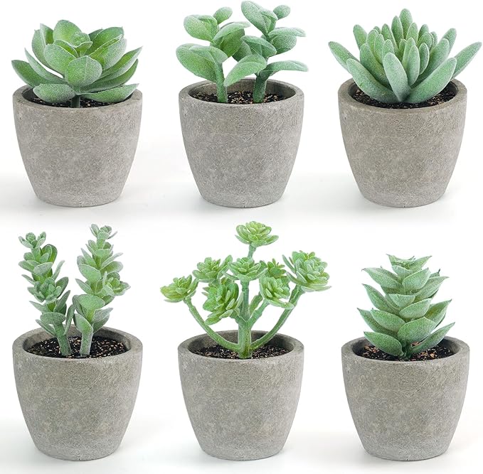 DomeStar Set of 6 Artificial Succulent Plants Potted, Assorted Decorative Faux Succulent Potted Fake Cactus Cacti Plants with Pots
