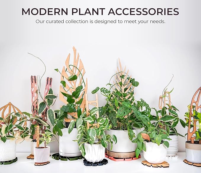 Treleaf Palmella Palm Leaf Inspired Wooden Trellis – Grande Size Indoor Plant Support for Climbing Plants – 24” Decorative Houseplant Trellis and Wooden Plant Stake for Potted Vines