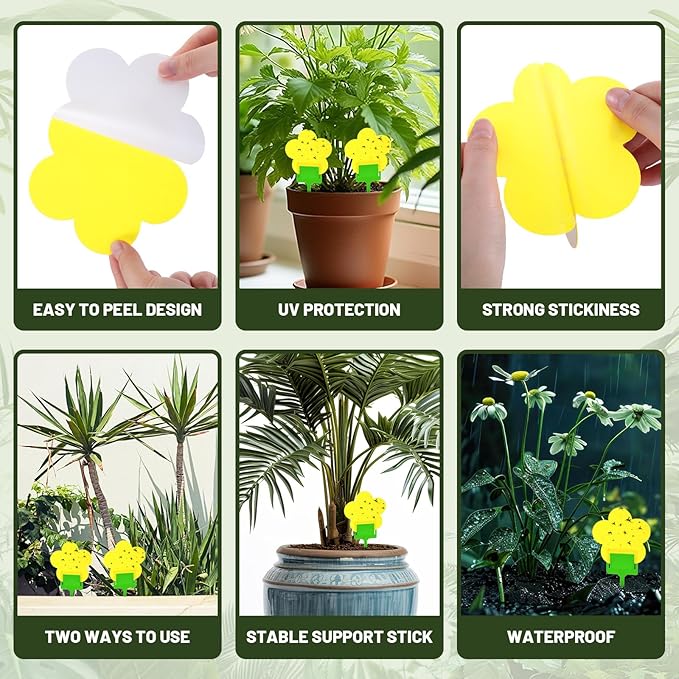 Qualirey 100 Pcs Fungus Gnat Traps Yellow Flower Shaped Plant Sticky Insect Traps Double Sided Bug Killer Fruit Fly Fungus Gnat Catcher with Green Stakes for Summer Indoor Outdoor Plants Kid Pet Safe