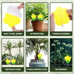Qualirey 100 Pcs Fungus Gnat Traps Yellow Flower Shaped Plant Sticky Insect Traps Double Sided Bug Killer Fruit Fly Fungus Gnat Catcher with Green Stakes for Summer Indoor Outdoor Plants Kid Pet Safe