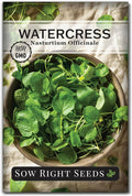 Sow Right Seeds - Watercress Seeds for Planting - Non-GMO Heirloom Packet with Instructions to Plant and Grow Home Garden - Fast-Growing Aquatic Vegetable with Edible Leaves - Fresh and Delicious