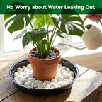 TRUEDAYS 20 Pack Black Plant Saucers – 4 Sizes (6"/8"/10"/12") Plastic Flower Pot Trays for Indoor & Outdoor Plants, Drip Trays to Protect Floors & Surfaces