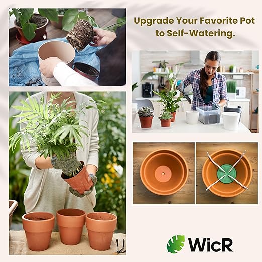 Self-Watering Planter Insert for Houseplants, Flower Pots and Hanging Baskets – Bottom Watering Reservoir with Wicking System – Prevents Over & Under Watering and Root Rot – Indoor/Outdoor – USA Made