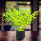 20'' LED Areca Palm Tree Faux Plant with Lights - USB & Battery Box Powered - Artificial Palm Tree for Living Room, Bedroom, Home Decor (Dypsis lutescens)