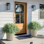 Artificial Faux Outdoor Plants for Spring Summer Decoration, 10 Bundles Fake Plastic Grass UV Resistant Look Real Fake Plants for Planter Outside Front Door Porch Patio Balcony Garden Indoor Yard Urn