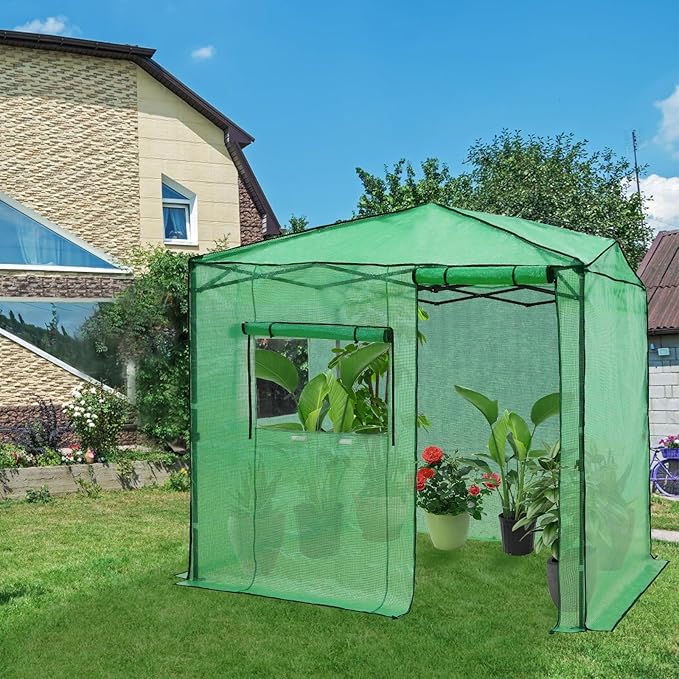 EAGLE PEAK 6x8 Portable Walk in Greenhouse, Pop Up Indoor Outdoor Greenhouse, Green House Kit with Zippered Roll-Up Doors and Windows, Side Door Design, PE Cover, Clear/Green