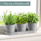 Barnyard Designs Indoor Herb Garden Planter Set with Tray, Metal Windowsill Plant Pots with Drainage for Outdoor or Indoor Plants, Set/3 (Cool Grey)