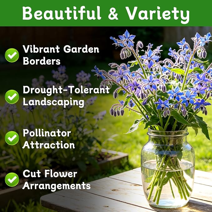 LUOJIBIE Borage Seeds, 4,000+ Blue Borage Seeds for Planting Outdoor & Indoor, Flower Seeds Bulk for Garden, Non-GMO & Heirloom, Easy to Grow