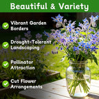 LUOJIBIE Borage Seeds, 4,000+ Blue Borage Seeds for Planting Outdoor & Indoor, Flower Seeds Bulk for Garden, Non-GMO & Heirloom, Easy to Grow