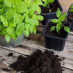 Minute Soil - Compressed Coco Coir Fiber Grow Medium - 40 MM - 30 Pucks (4 Pack)