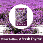 20000+pcs Creeping Thyme Seeds for Planting, Perennial Ground Cover Plants Heirloom Flowers Seeds Fragrant Herb Seeds for Lawns & Paths Garden