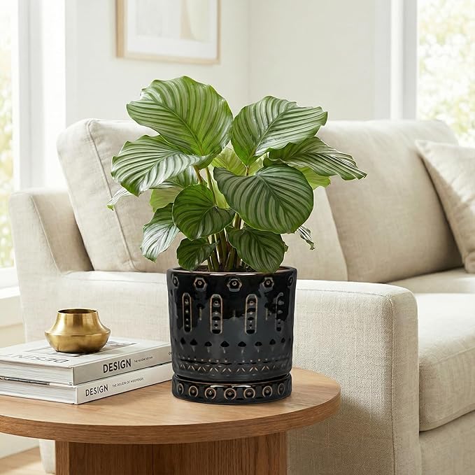 6 Inch Plant Pot, Ceramic Pots for Plants with Drainage Hole and Saucer, Round Planter for Indoor Outdoor Plants, Modern Decorative Flower Pots, Bedroom Decor, Gifts for Plant Lovers, Black