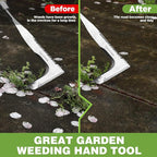 WORKPRO Crack Weeder, 12" Stainless Steel Crevice Weeding Tool with Ash Wooden Handle, L-Shaped Side-Walk Weed Puller Spatula, for Garden Lawn Yard Patio Terrace Paving Moss Garden Tool