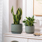 Green Ceramic Plant Pots Set of 3, 4.3+5.5+6.7 Inch Indoor Flower Pots with Drainage Hole & Saucer & Hole Mesh Pads, Striped Decorative Planter Set for Indoor Plants, Gardening Pots & Accessories