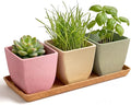 Small pots for Plants, Indoor Square Planter Set, 3.5 inch Modern Succulent Mini Succulent Pots for Windowsill, Shelf & Desk Decor.Pink/Yellow/Green