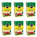 Miracle-Gro All Purpose Plant Food Plant Fertilizer (6 Pack), 3 lb
